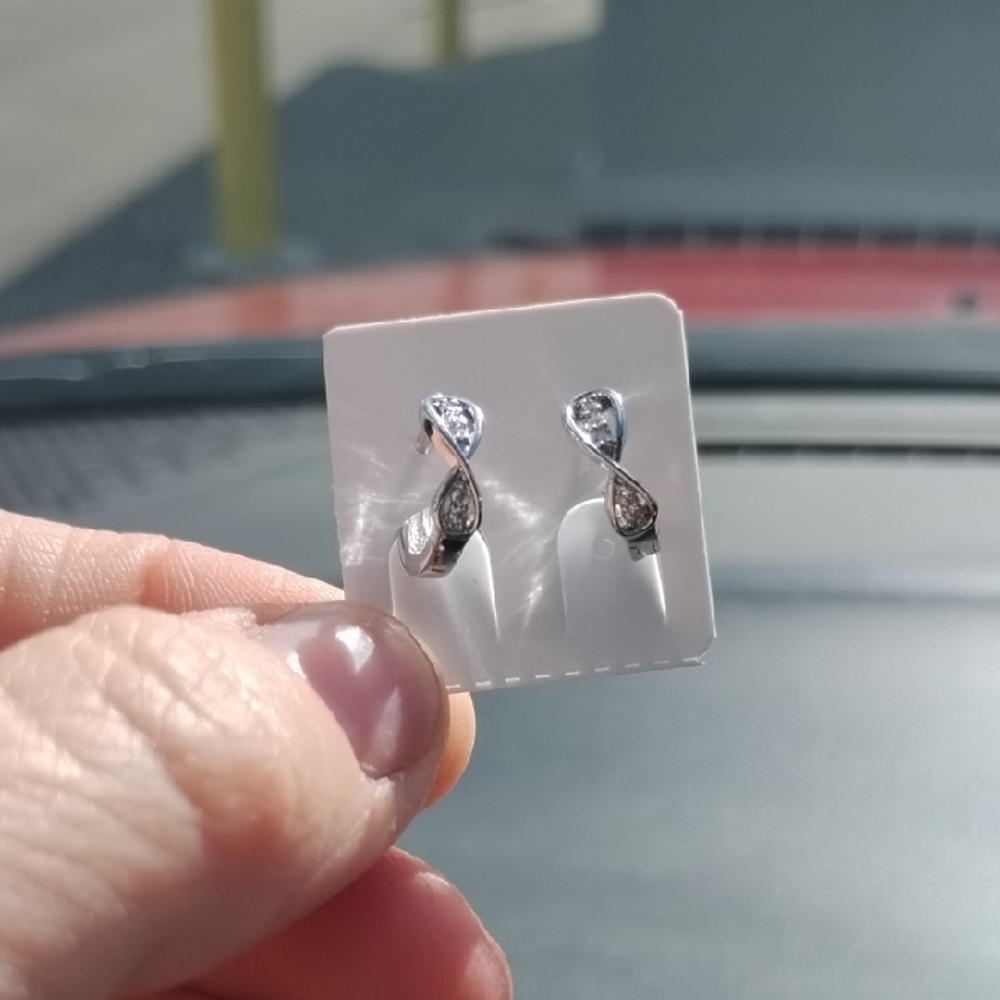 Elegant Silver Twist Earrings